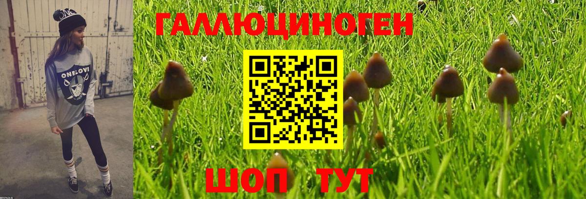 продажа наркотиков  Вход с VPN  Псков  Галлюциногенные грибы GOLDEN TEACHER 